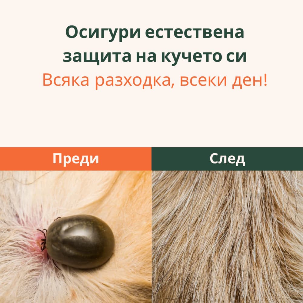 Royal Paw™ - Противопаразитна Каишка със 7 Етерични Масла
