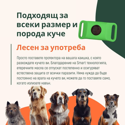 Royal Paw™ - Протектор срещу паразити с 5 етерични масла