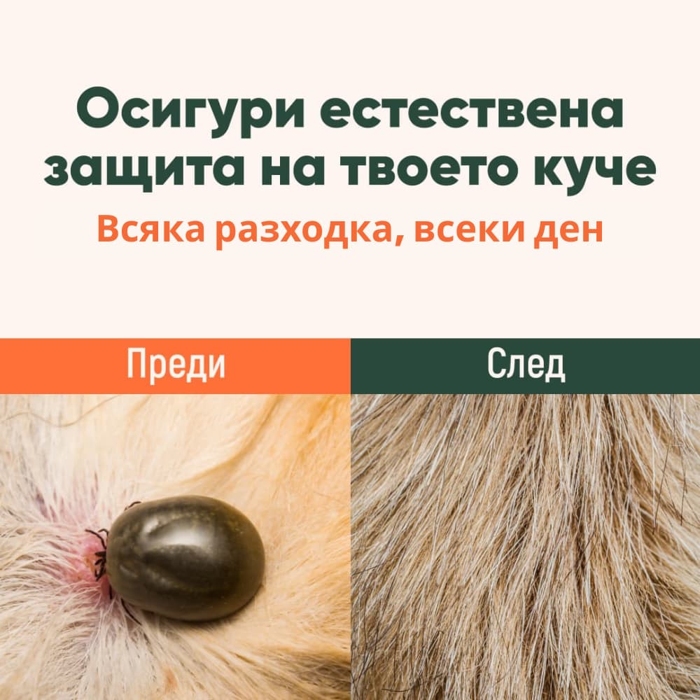 Royal Paw™ - Протектор срещу паразити с 5 етерични масла