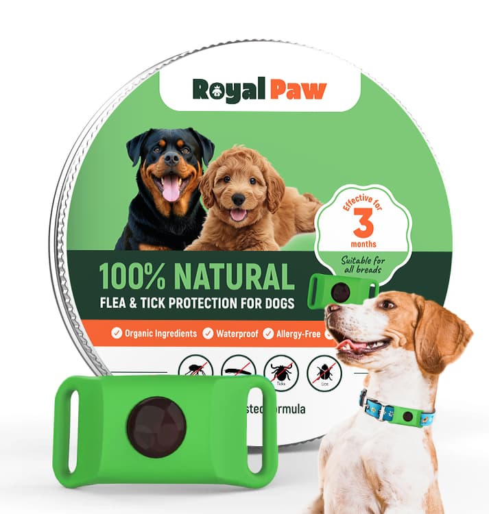 Royal Paw™ - Протектор срещу паразити с 5 етерични масла